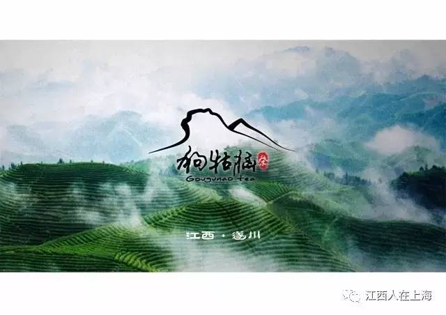 入杯樽,茶之荣也2017新茶已上市,绿茶,白茶,黄金茶,皆来自大山深处