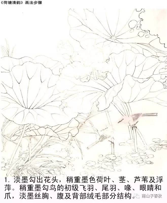 周敦颐《爱莲说》   分享工笔荷花《荷塘清韵》画法步骤,一学就会