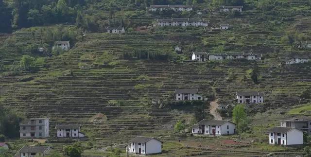 遂川滁州乡有多少人口_遂川旅游景点有哪些