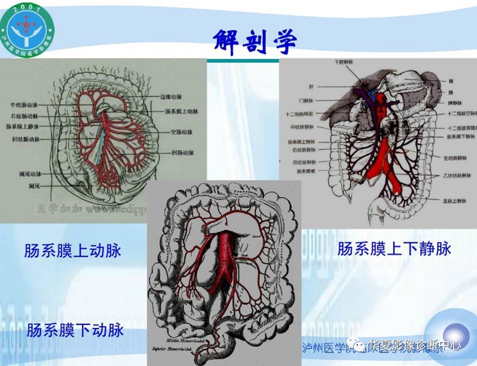 肠系膜缺血性疾病的影像诊断