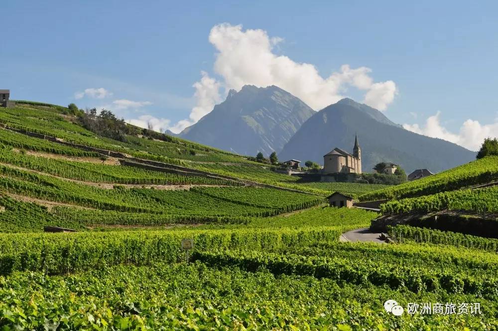 罗纳河谷(rhone valley)即隆河谷,该产区历史悠久,是法国最早的葡萄酒