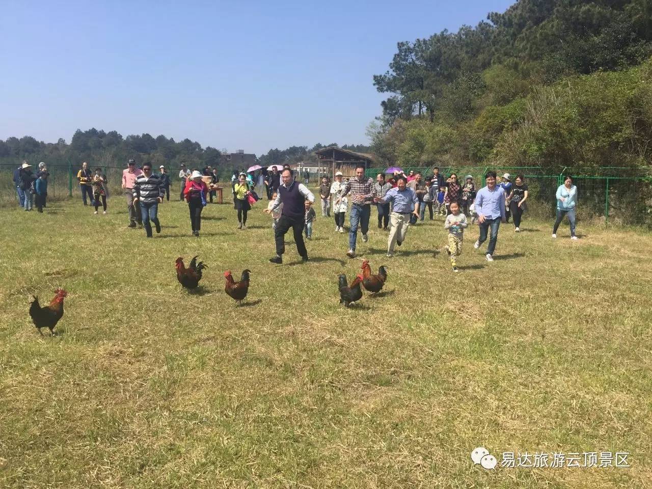 活动时间: 5月6日—6月4日周末 全鸡宴需提前预订,10人一桌 疯狂抓鸡