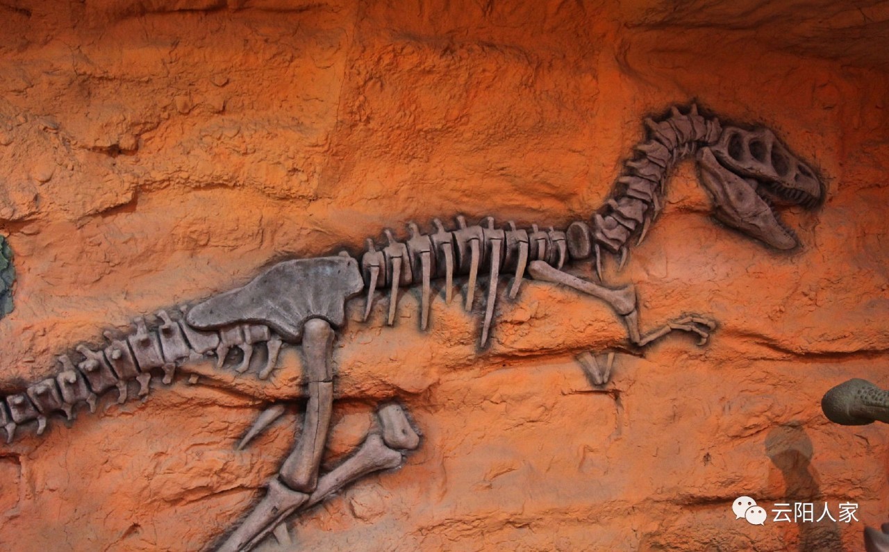 云阳普安发现了巨大的恐龙化石基地,将建超大的侏罗纪