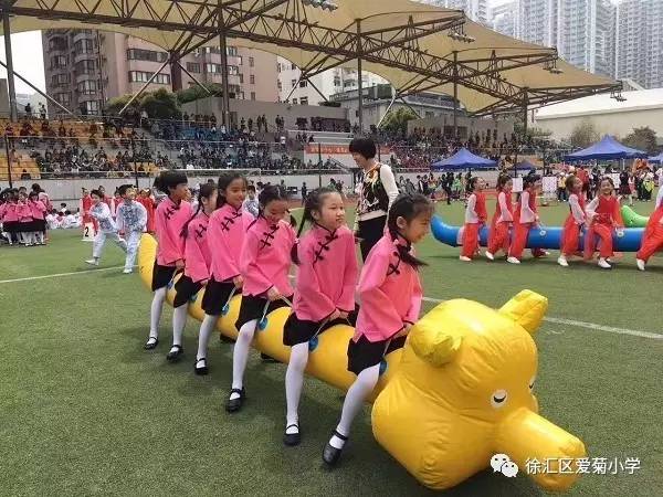 "健美小少年,追梦赤子心"| 爱菊小学第二届学生运动会