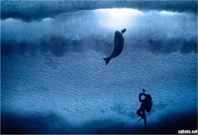 【柒摄影--大咖秀】最后的净土 南极ross sea