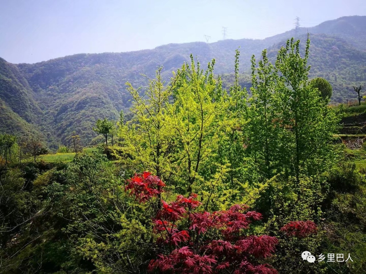 的石头房子却是特别醒目,这里就是远安县花林寺镇龙凤山村(庞家湾)