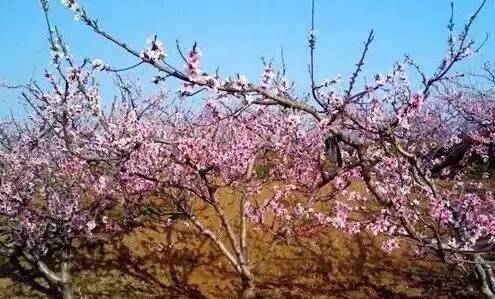 裕安狮子岗桃花仙谷风景区位于安徽省六安市裕安区狮子岗乡新华村,主图片