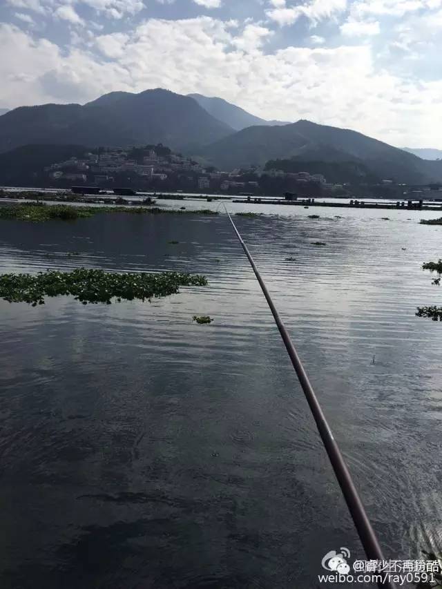 闽清雄江镇:青山绿水惹人醉,黄墙红瓦谁人家