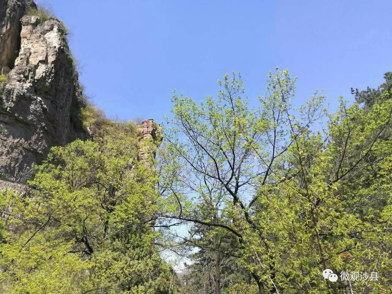 【涉县美】固新镇黄花山:静静地 独享一座山