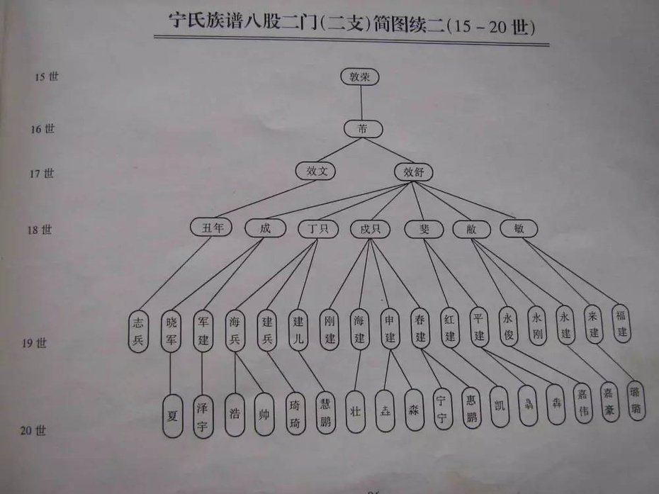 【4月23日 | 17周】一部完整家谱的24项