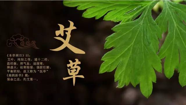 用对一味本草,效果胜人参,更是妇女一辈子的良药仙草!