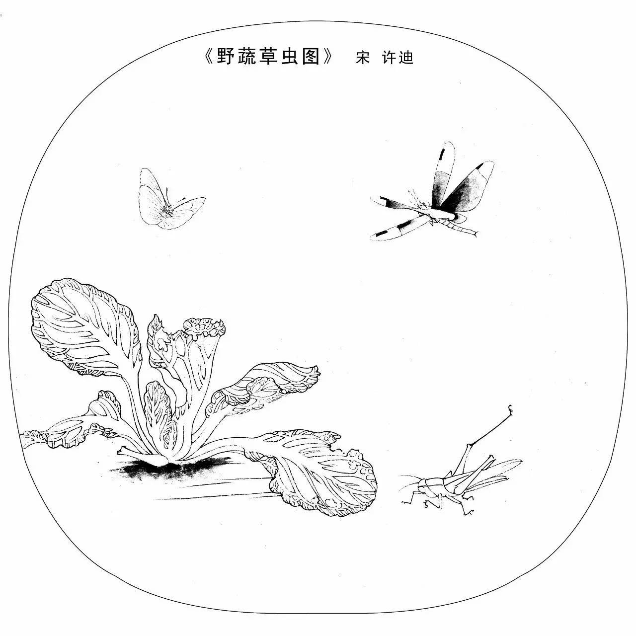 宋代花鸟小品白描图,同样美美哒