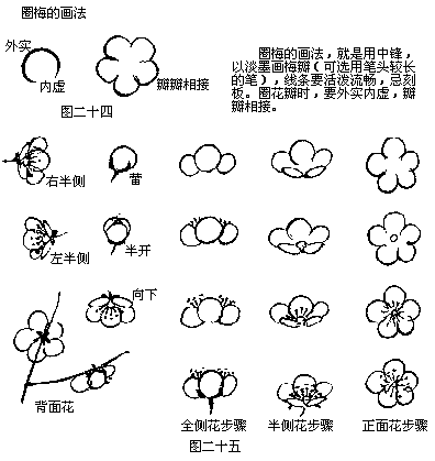 其它 正文  四边出枝法:画梅花,枝干总得从画面的四边进入.