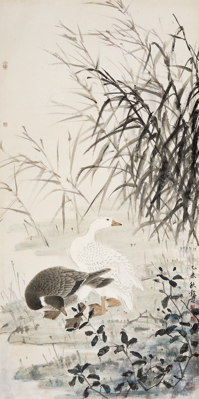 许晓彬《芦丛珍禽》137×69cm 纸本设色 2015年