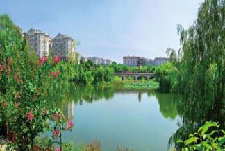 河南省唯一一个全国百强镇
