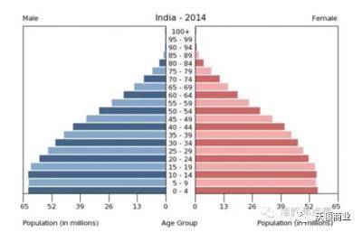 印度人口结构_印度人口