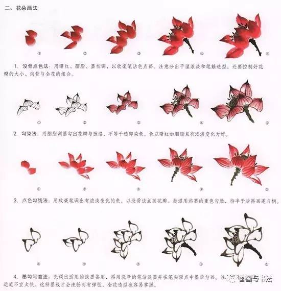 国画-荷花的绘画技法 (图3) 三,中国国画荷叶的绘画技法 1,没骨画法
