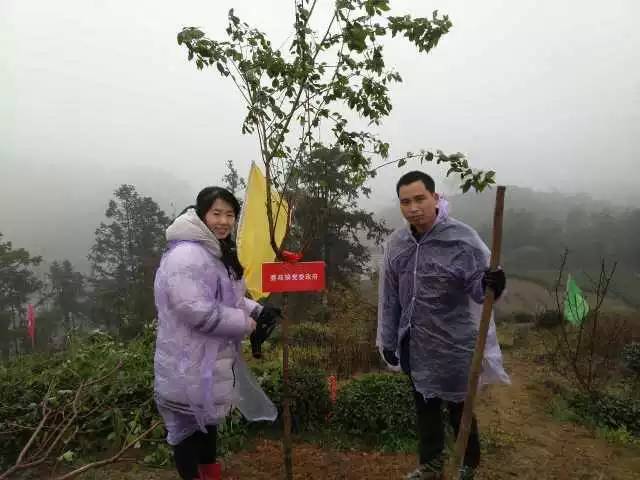 福安赛岐大象村人口_福安赛岐图片