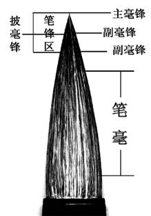 人口膨胀名词解释_非网络专业开发人员专有网络名词解释大全(3)