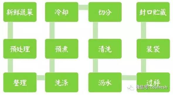 农业保鲜10净菜加工与保鲜的流程