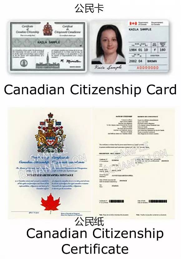 【加国新闻】42年加拿大公民为保存公民纸而过塑 结果
