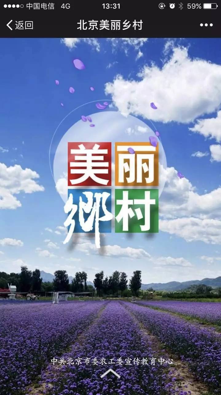 "美丽乡村"h5版,超炫界面,一手信息,更多优惠,欢迎