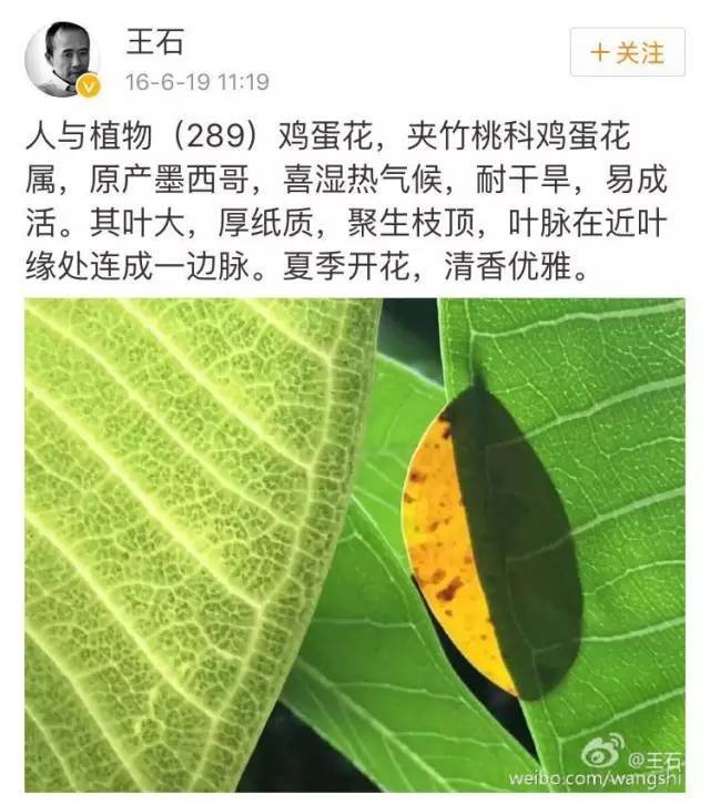 植物与人口_人口与国情手抄报