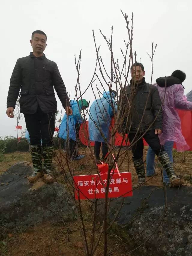 福安赛岐大象村人口_福安赛岐图片