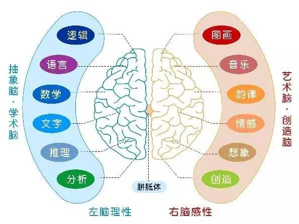 幼儿园教育原理属什么学科_幼儿园安全教育图片(3)