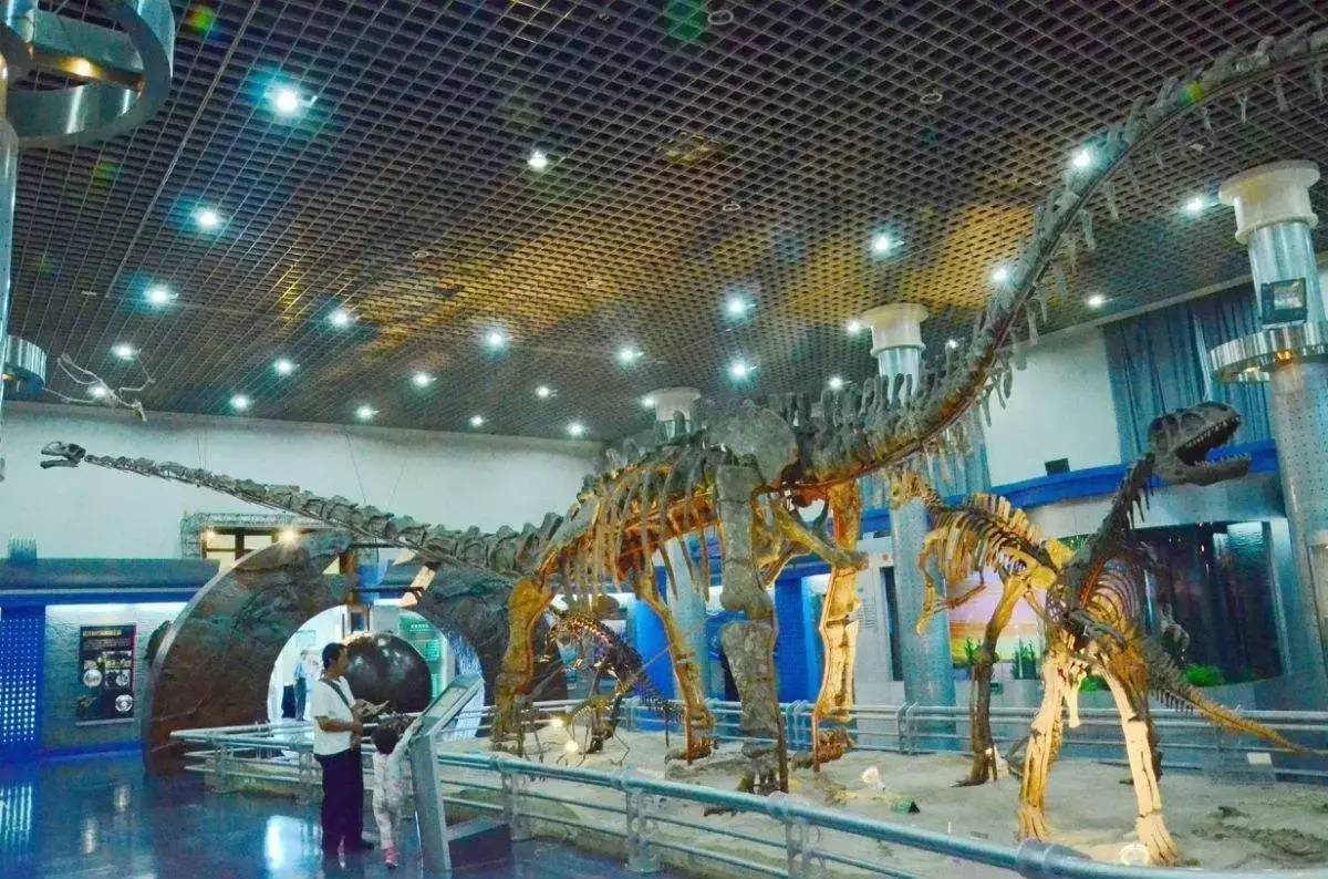 北京自然博物馆——让恐龙超越化石的骨感