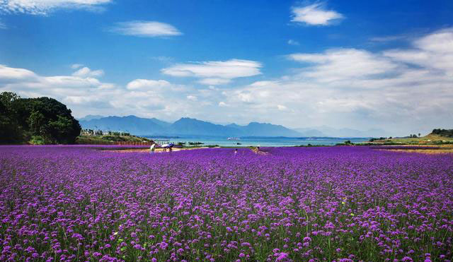 武宁花千谷景区