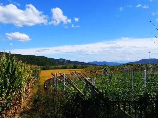 莲花山地址:吉林省九台市土们岭价格:门票免费金穗山庄地址:吉林省