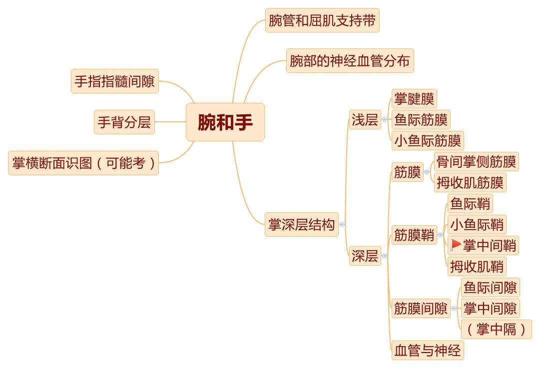 局解上肢思维导图