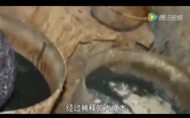 炸臭豆腐 秘密:污水 腐肉 大便稀释液浸泡,硫酸亚铁(绿矾)