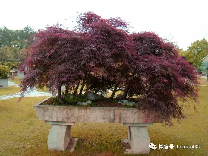 京焼 清水焼 清水七兵衛造 青華染付 山水花鳥文 盃 陶芸 | red-village.com