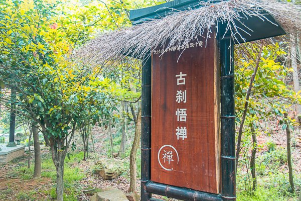 走进中国禅茶以及日本茶道的发源地杭州径山