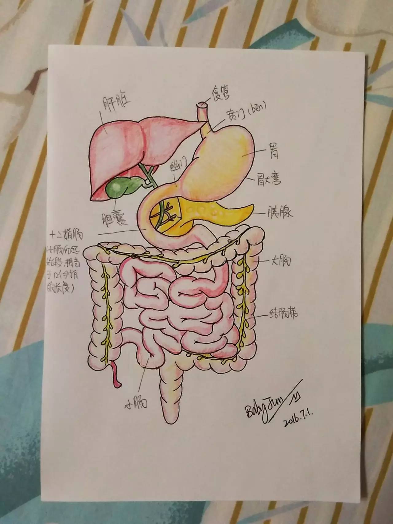 14张医学手绘,见证医生偶像的力量!