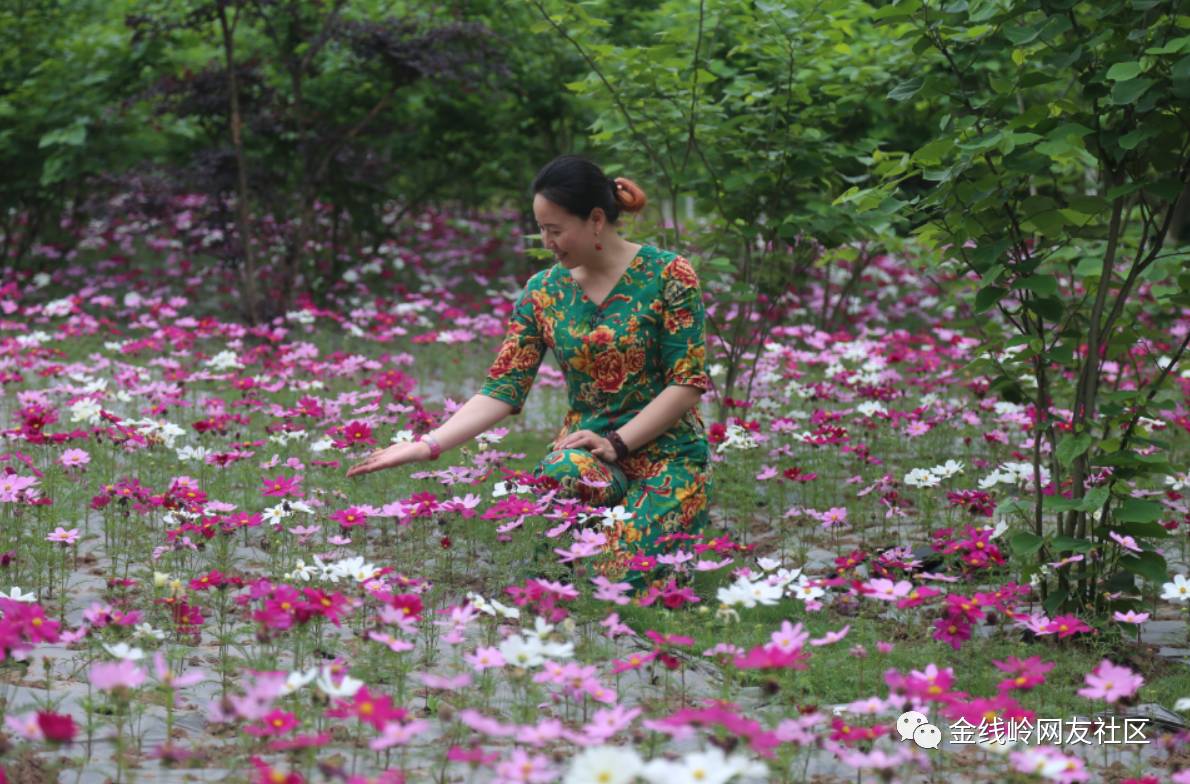 宜宾到处都有花海唯独这里的花海让你惊喜无限