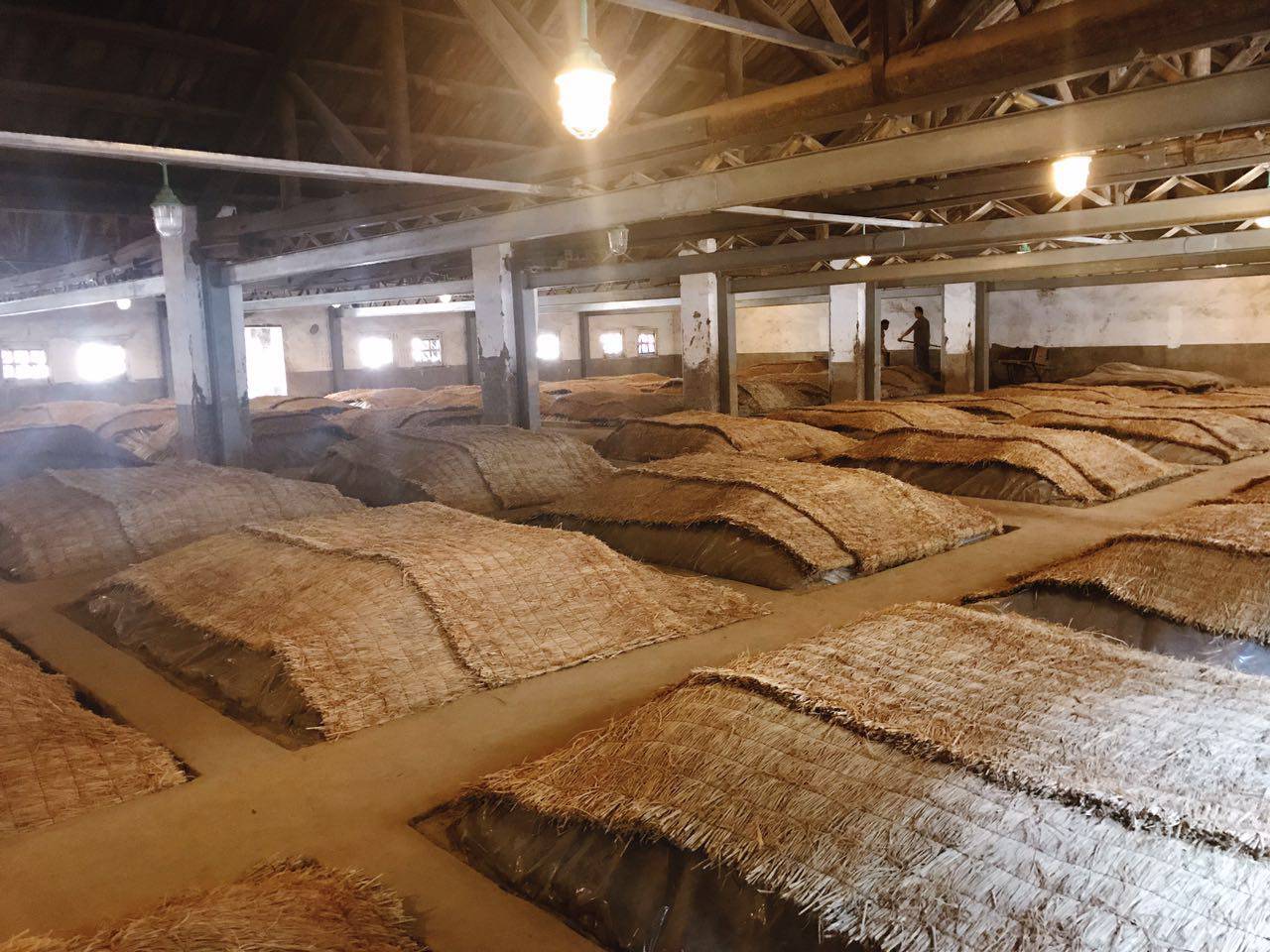 旅游 正文 高炉酒厂拥有着 百年历史的 明清古窖池.