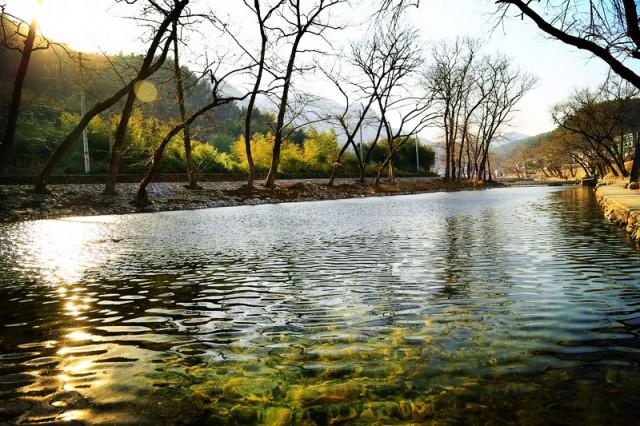 宁波余姚中村人口_余姚中村景区