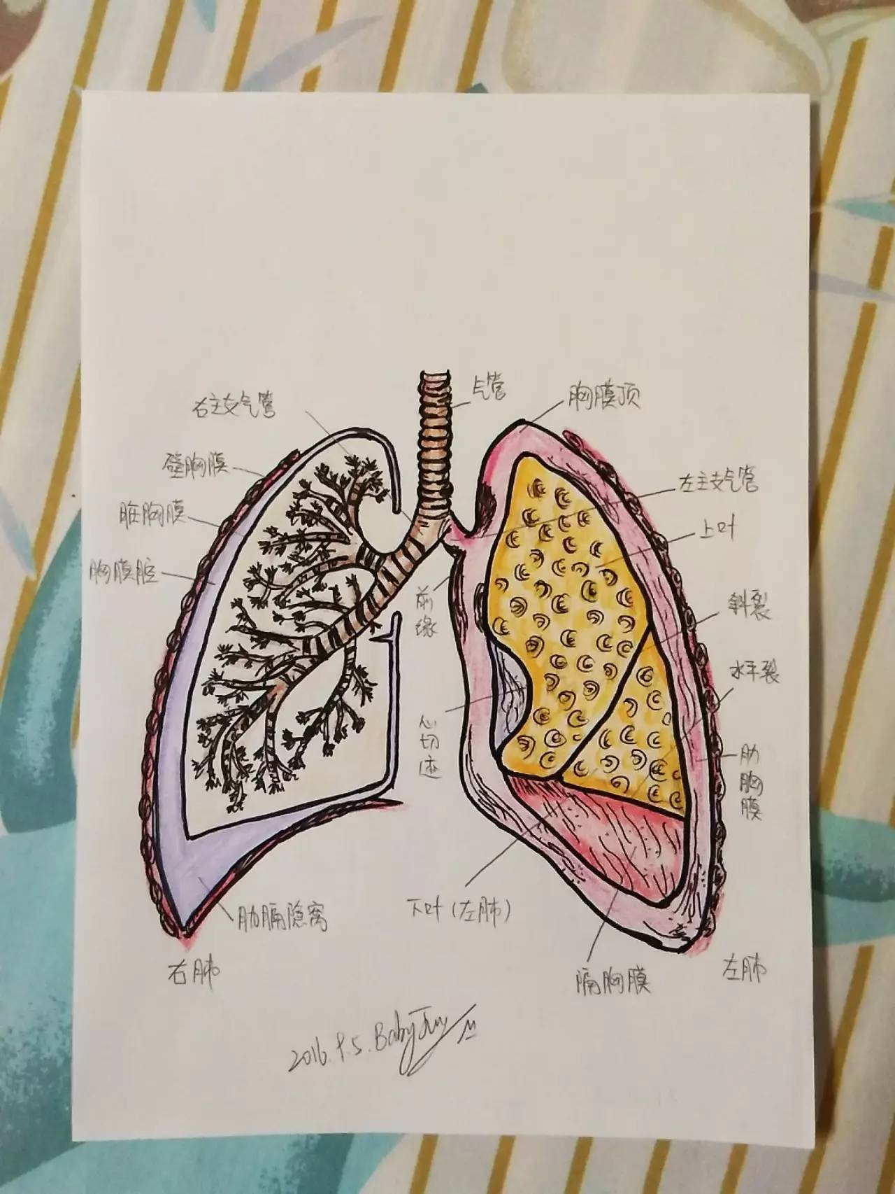 14张医学手绘见证医生偶像的力量