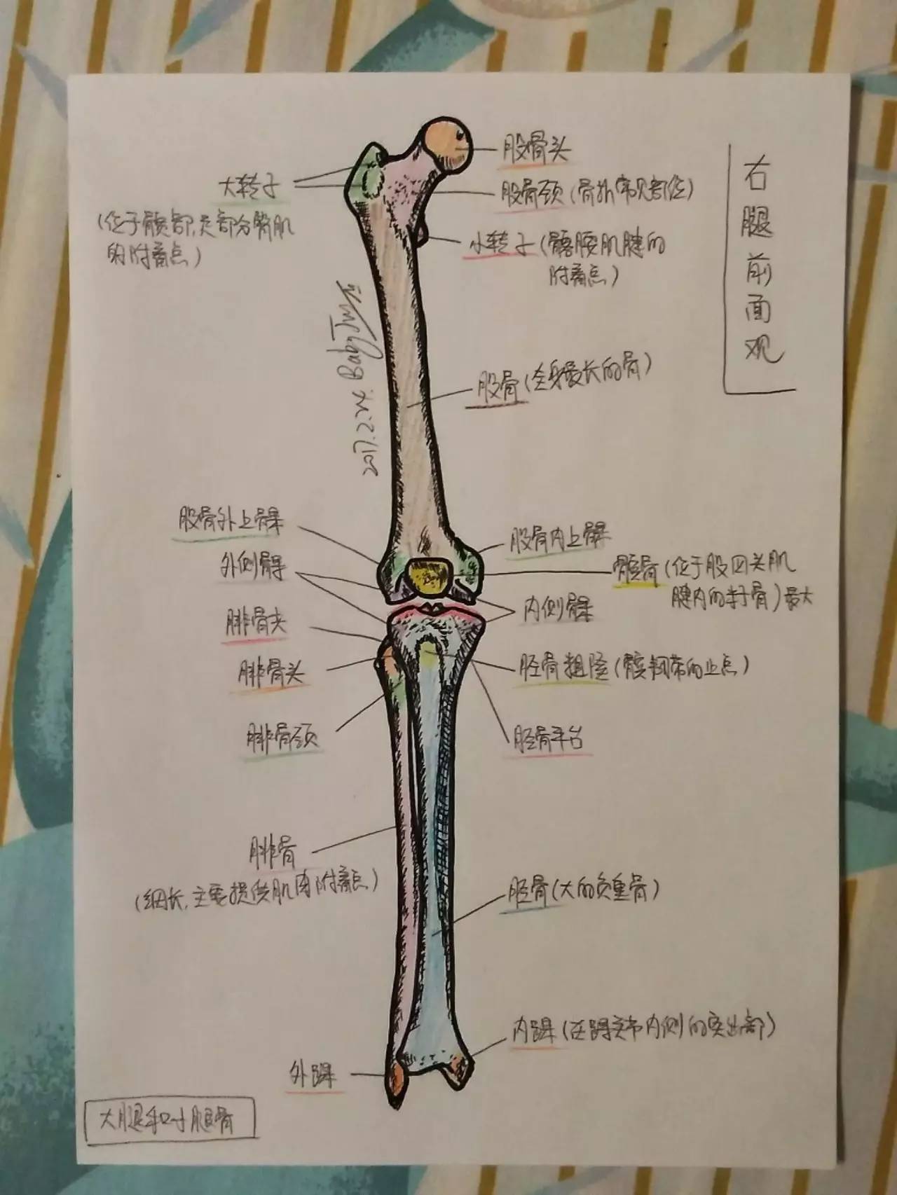 14张医学手绘见证医生偶像的力量