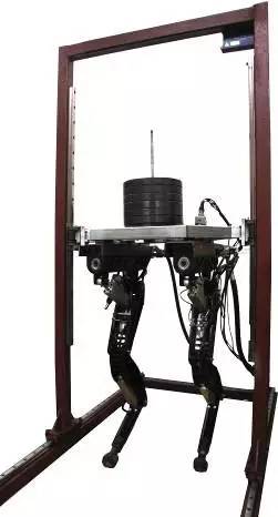 波半机械人x,鸣人x博人苹果手游官方,哥斯拉x摩斯拉x机械哥斯拉：东京sos 电影士顿动力机器人的技术细节从根源处探索机器人世界的奥秘