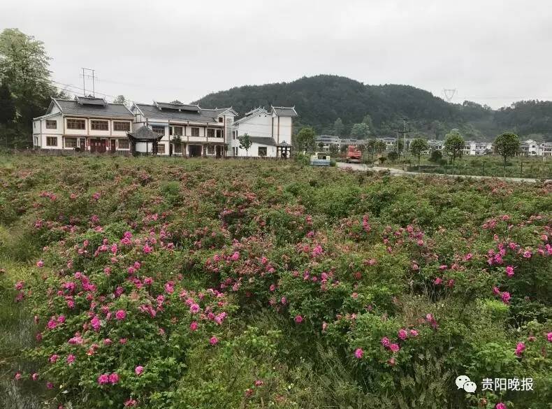 房山华亚男科医院微创治疗阳痿早泄管用吗_丰台男科华亚