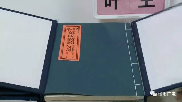 叶姓人口数量_最新 广东叶氏人口分布(3)