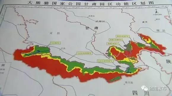 青川建大熊猫国家公园有新消息了!你最希望哪个乡镇修建 快来投票