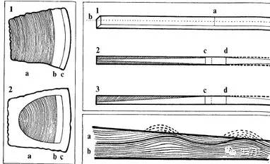 对两种木质的保留多少,弓臂粗细变化,以及芽节(木头上的突起)的处理.