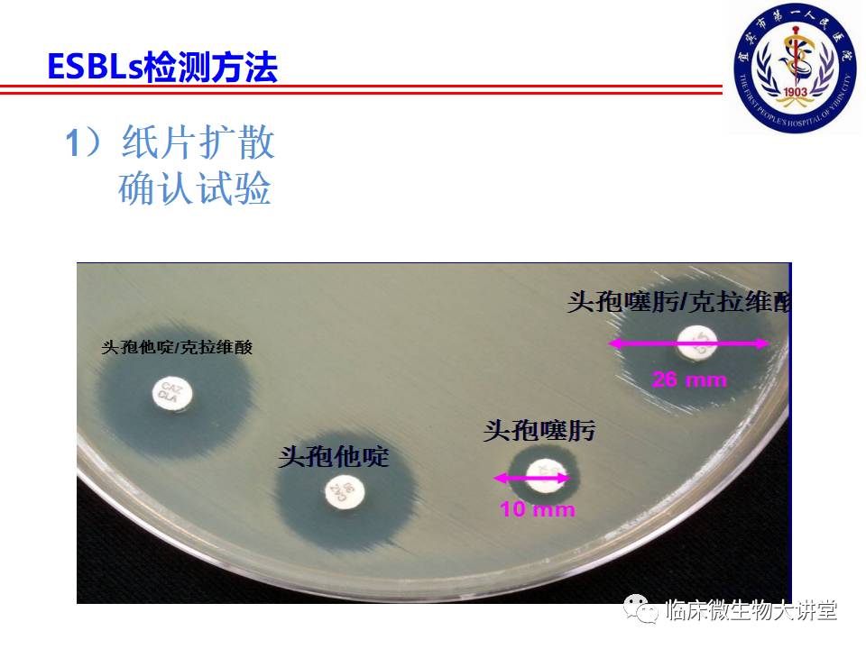 4月27日讲课预告--散打esbls