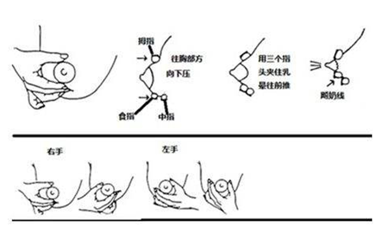 有一种痛叫堵奶,处理不当会更痛