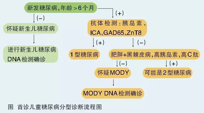 新闻 首诊儿童糖尿病分型诊断流程 每一例新诊断的糖尿病患者都